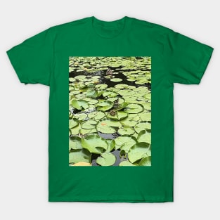 Pato al agua. T-Shirt